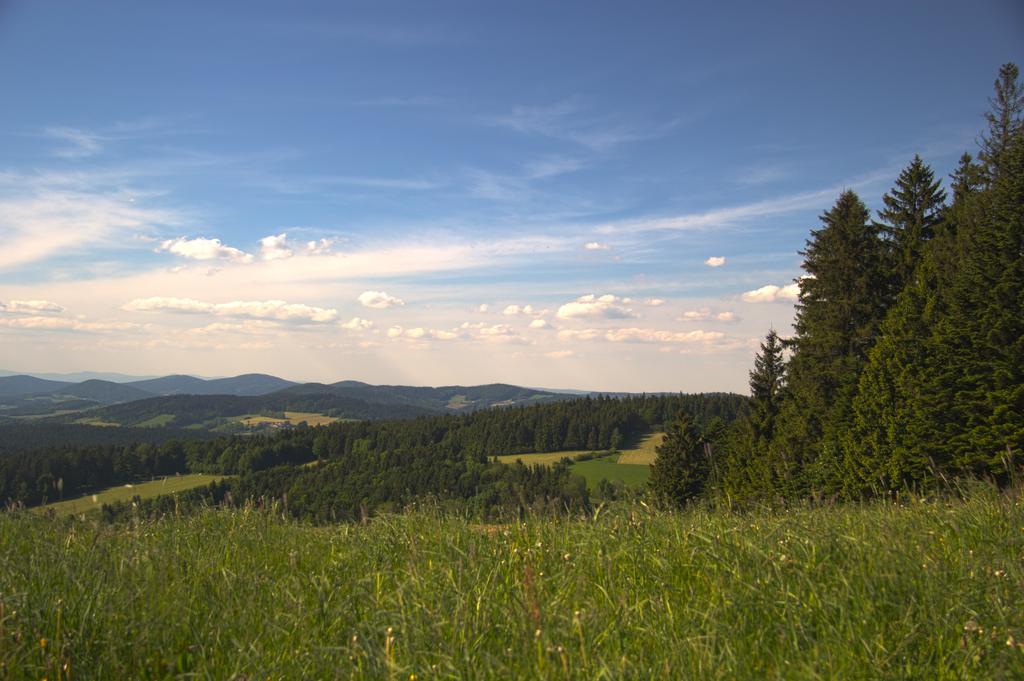 Landgasthof Zum Lang Untergriesbach Exterior foto